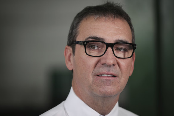 Incoming South Australian Premier Steven Marshall has called treaties "a cruel hoax".