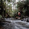 The failing that threatens Melbourne’s ‘most liveable’ claim – and its residents’ wellbeing