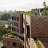 Arkadia’s 1200 metre square garden roof top has views south and north, great for the resident rooftop chooks and residents. 