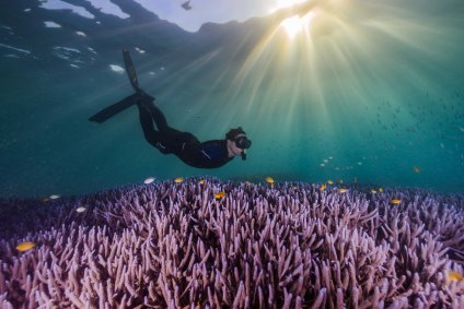 Jodie Rummer freediving the reef crest off Heron Island in the southern Great Barrier Reef.