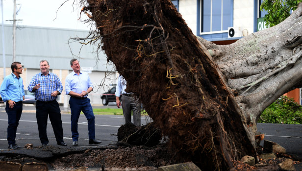 Queensland Opposition Leader Tim Nicholls (right) surveys storm damage in Bundaberg.