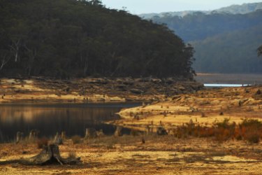 Australian Breaking News Headlines & World News Online | SMH.com.au