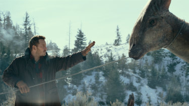 Chris Pratt wrangles a dinosaur in Jurassic World Dominion.