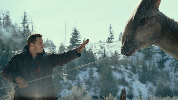 Chris Pratt wrangles a dinosaur in Jurassic World Dominion.