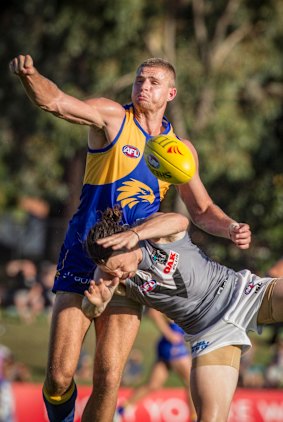 Blow out: West Coast ruckman Nathan Vardy goes up against Port Adelaide's Jasper Pittard.