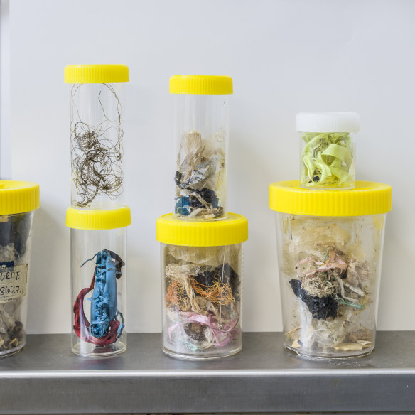 Jars filled with plastic waste that killed wild animals.