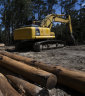 A native forest logging site in Wild Cattle Creek State Forest.