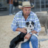 ‘We bring the country to the city’: Animals still the key to show’s success