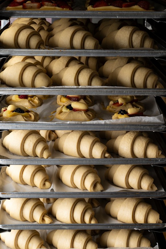 Croissants ready for the oven. 