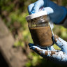 NSW parliament to hold ‘forever chemicals’ inquiry after drinking water contamination
