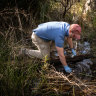 Dam faces long-term shutdown after ‘forever chemicals’ discovery