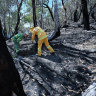 Firefighters in Halls Gap.