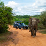Savvy travellers are increasingly waking up to the wealth of wildlife within the island of Sri Lanka