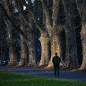 Rich man, poor man, gangland, parmesan: Melbourne’s constantly shifting suburb
