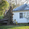 One killed and another injured as NSW battered by wild winds