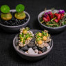 Seaweed cracker, fish and chips and ox tongue at Cape.