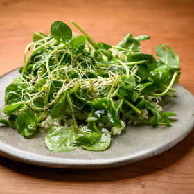 Salad.