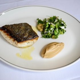 Blue-eye with chopped salad at Bar Carolina.