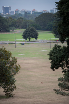 Sydney mayors are eager to protect the heritage values and views of Centennial Park.