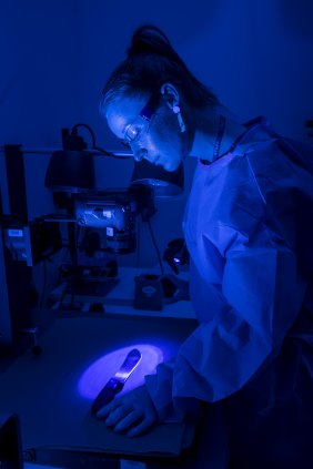 Fingerprint expert Bree Harris examines a knife.