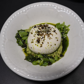 Burrata, pea puree with broad bean salsa at Ragazzi.