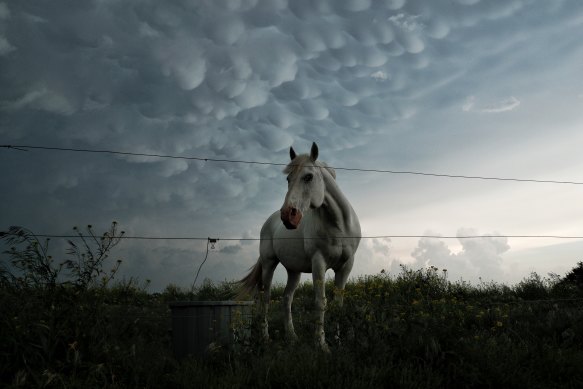 A mammatus cloud forms behind a horse in Nebraska – the cloud’s bulbous shapes are formed by strong downdrafts. 