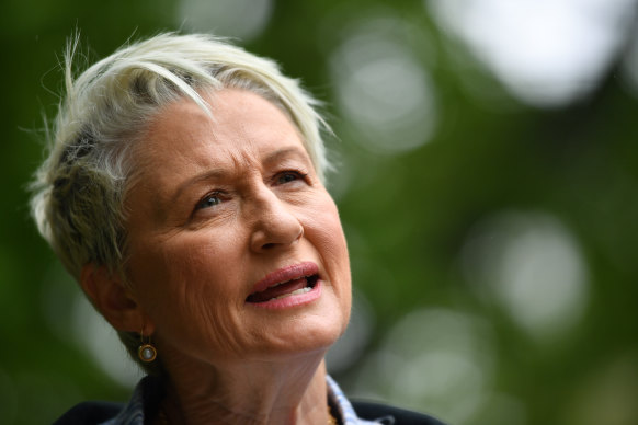 Independent candidate for Wentworth Kerryn Phelps speaks about the leaked Ruddock report into religious freedom in Sydney.