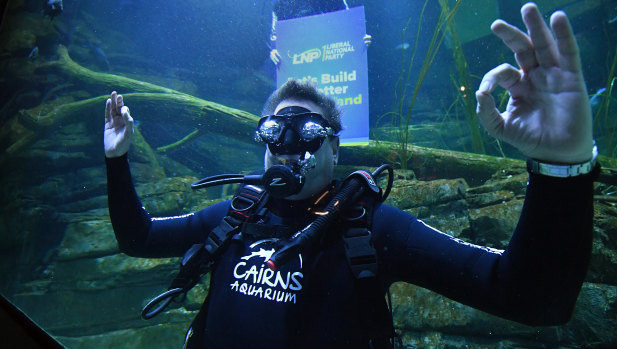 Queensland Opposition Leader Tim Nicholls scuba-dives in a large fish tank at the Cairns Aquarium in Cairns on Wednesday as part of his tourism announcement.