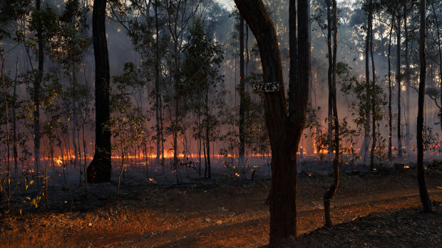 Most of Queensland has a very high fire danger risk. 