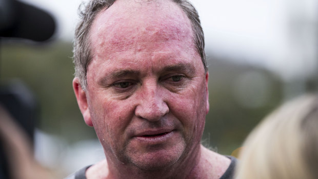 Former deputy prime minister Barnaby Joyce.