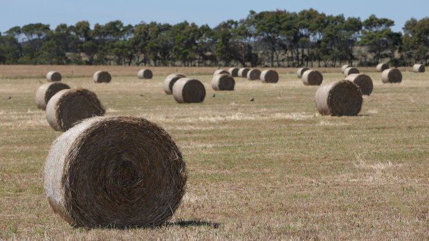 Hay bales have been catching alight across Victoria - and it's all because of spontaneous combustion.