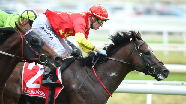 Russian Revolution, with Mark Zahra in the saddle, wins the Oakleigh Plate.