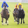 Race-by-race preview and tips for Port Macquarie on Sunday