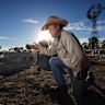 Sheep farmer Duncan Barber on his Coliban Park property near Redesdale in Victoria. Duncan has not seen Victorian drought like this in many years, and is in dire need of rain soon.
