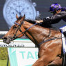 The flying Big Parade has joined Joe Pride’s stable and is ready to fire in Saturday’s Missile Stakes at Rosehill. 