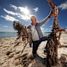 Mornington Peninsula Beach Box Owners president Peter Clarke at Dromana beach this week.