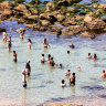 Sydney is having a scorcher. Think twice before you get in the ocean