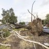 Farmer killed, hundreds of thousands still without power after wild storms