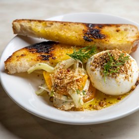 Burrata is accompanied by a zippy salad of shaved fennel and citrus.