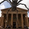 Meet the gargantuan spider about to take over Sydney