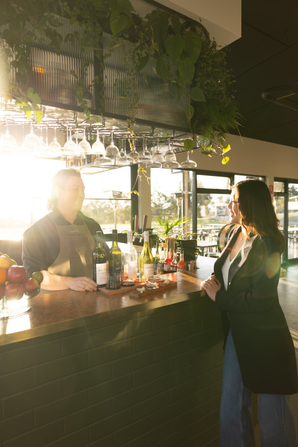 The sun-drenched bar.