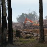 WA environment watchdog to scrutinise Alcoa’s jarrah forest mining