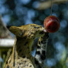 World of photos, February 4, 2024