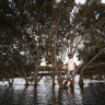 Paul Gallanos who kayaks every morning on Cooks River is concerned that rising water levels is causing the disappearance of an island. 30 August 2024 Photo: Janie Barrett
