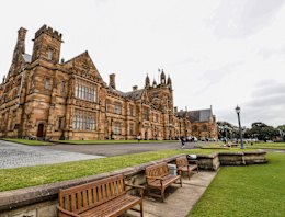 Sydney University will consult students and staff on the Ramsay proposal in October