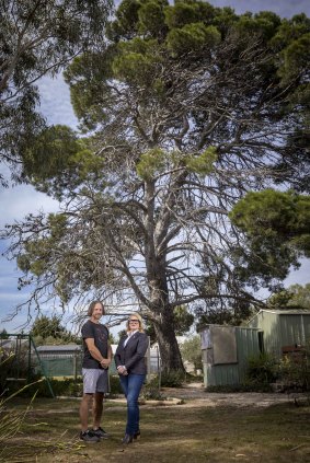 Local residents Kevin Neville and Renay McIntyre in front of the Phar Lap Tree.