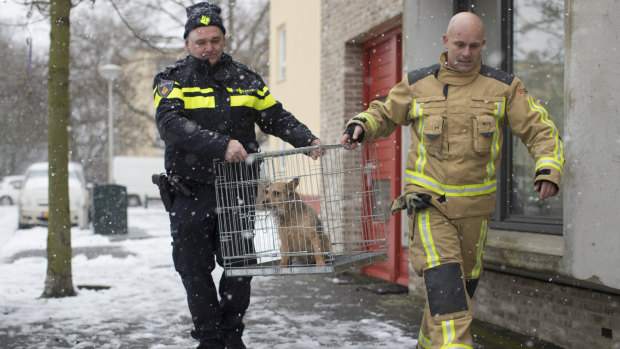 Sergeant Erik Smit, left, and a firefighter rescue a dog that had been left alone on a balcony during a snowfall.