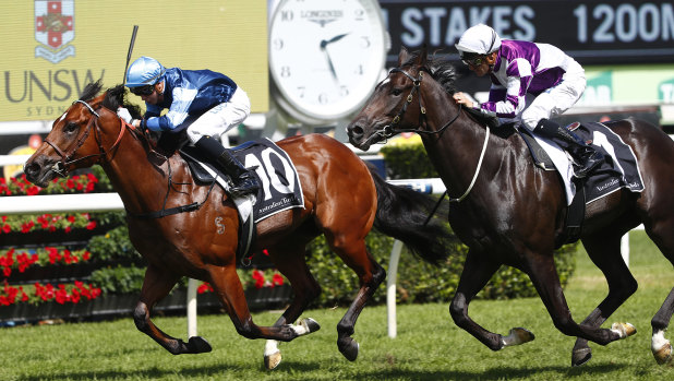 Fast track: Aylmerton books a place in the Golden Slipper with victory in the Todman Stakes.