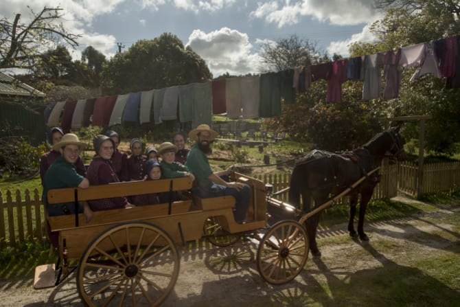 The McCallums head into town in their buggy, pulled by one of their horses, Terry.