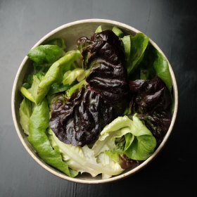 Salad greens with mustard vinaigrette.